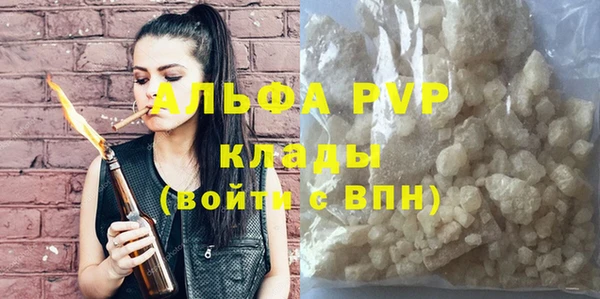 прущие грибы Богородск