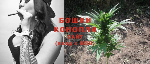 прущие грибы Богородск