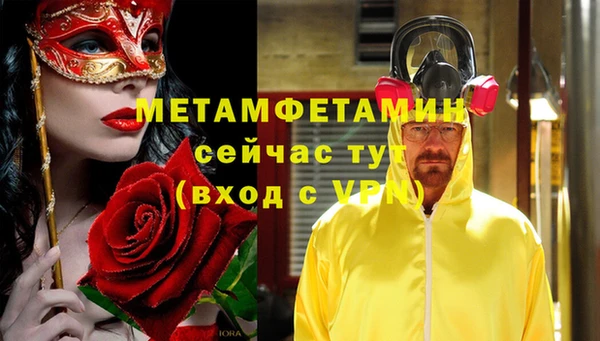 прущие грибы Богородск