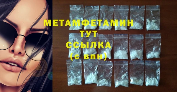 прущие грибы Богородск