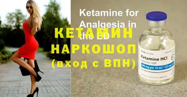 крисы Надым