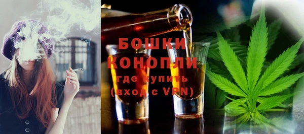ГАЛЛЮЦИНОГЕННЫЕ ГРИБЫ Белокуриха