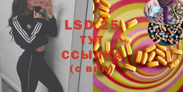 дмт Богородицк