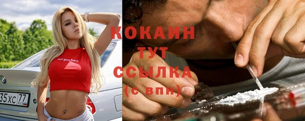 прущие грибы Богородск